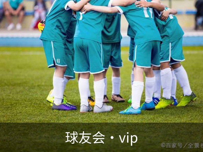 球友会·vip介绍